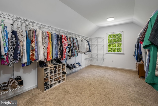 walk in closet featuring carpet flooring and vaulted ceiling