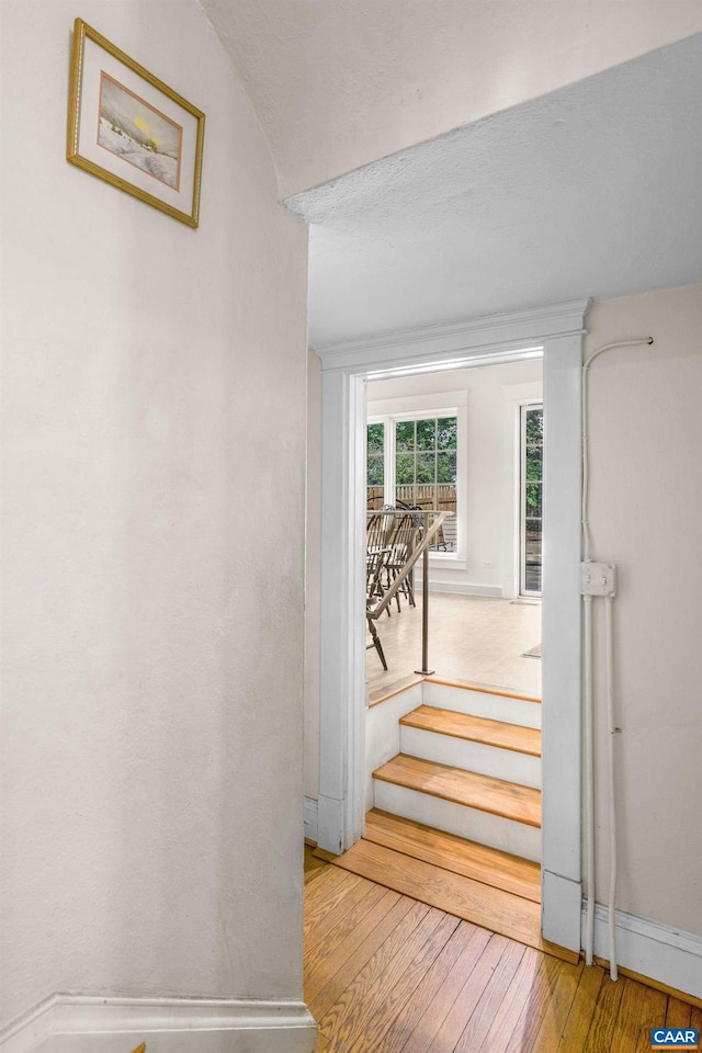 2616 Jefferson Park Cir, Charlottesville, VA 22903 - staircase featuring baseboards and hardwood / wood-style floors