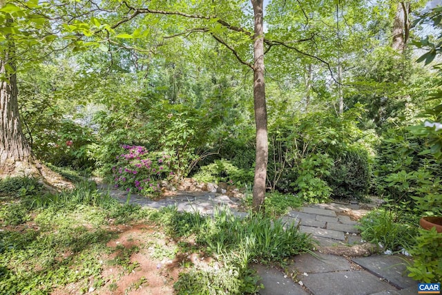 2616 Jefferson Park Cir, Charlottesville, VA 22903 - view of yard