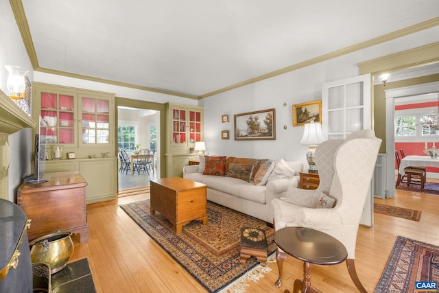 2616 Jefferson Park Cir, Charlottesville, VA 22903 - living room featuring light wood-type flooring and crown molding