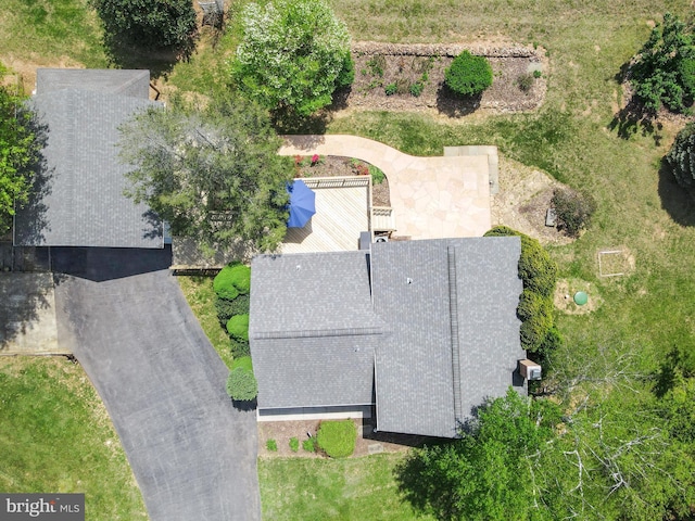 bird's eye view