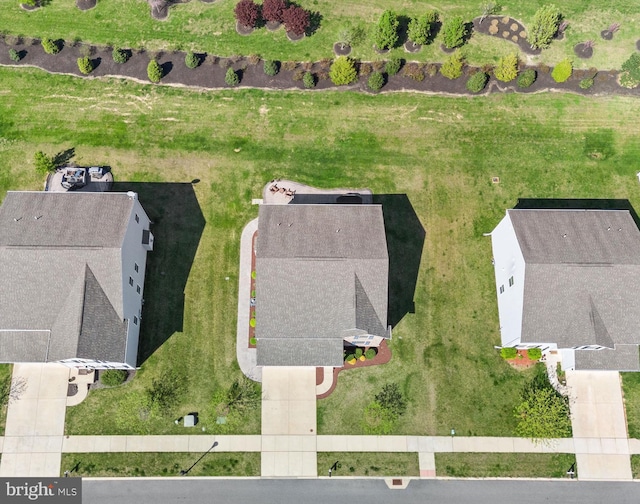bird's eye view