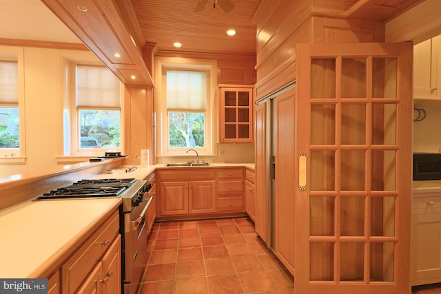 2203 N Grant Ave, Wilmington, DE 19806 - kitchen with a sink, light countertops, high end range, and a wealth of natural light
