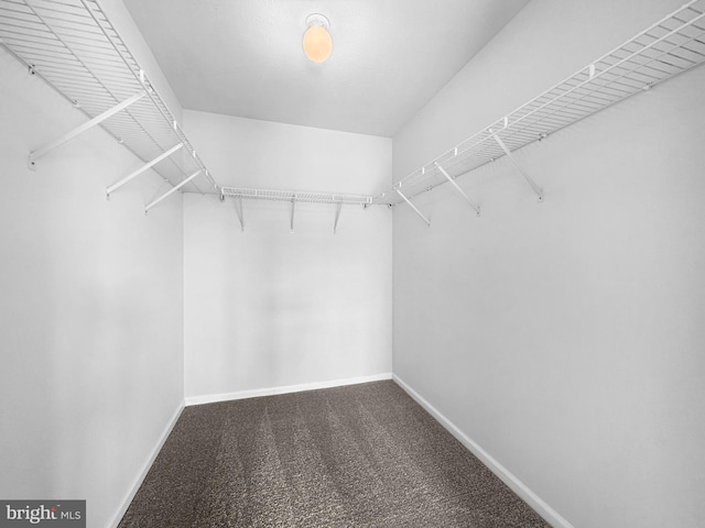 2002 Staghorn Dr, Mount Laurel, NJ 08054 - spacious closet featuring carpet flooring