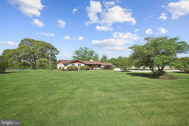 5537 Eldorado Sharptown Rd, Rhodesdale, MD 21659 - view of grassy yard