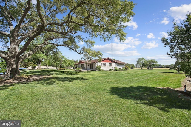 5537 Eldorado Sharptown Rd, Rhodesdale, MD 21659 - view of green lawn
