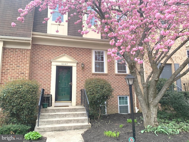 view of exterior entry with brick siding