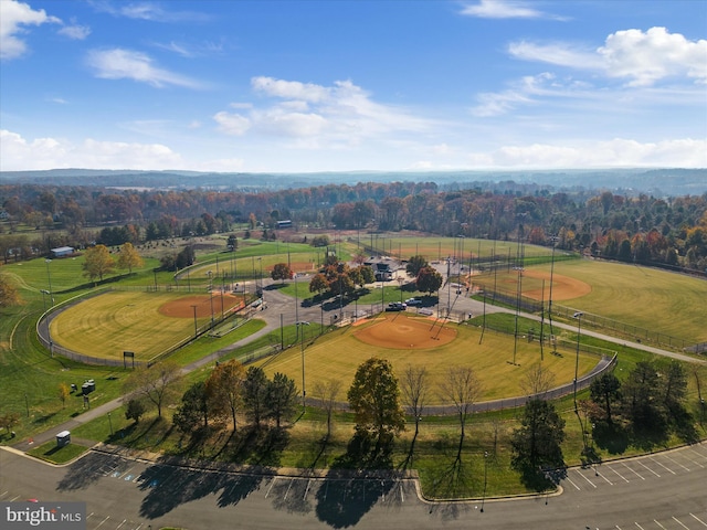 bird's eye view