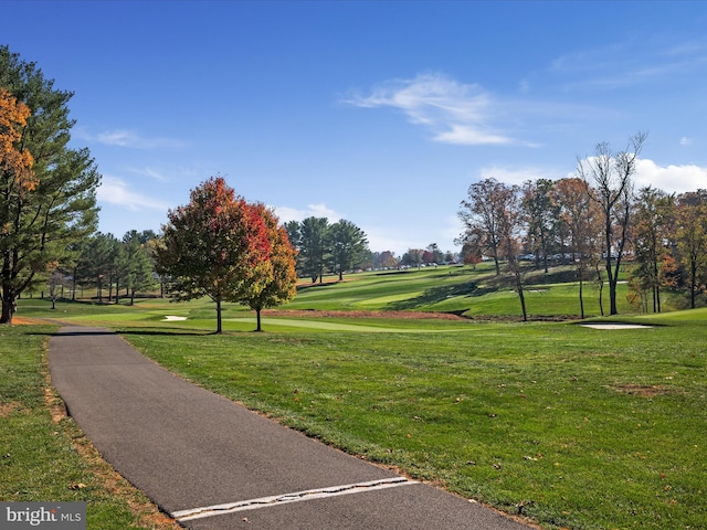 view of home's community featuring a lawn
