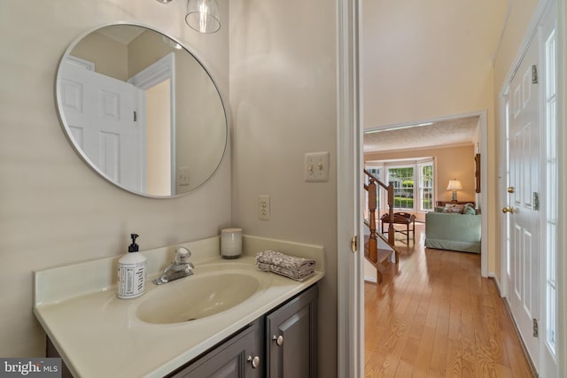 bathroom featuring wood-type flooring and vanity