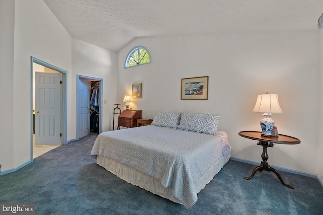 bedroom featuring carpet floors, baseboards, lofted ceiling, and a spacious closet
