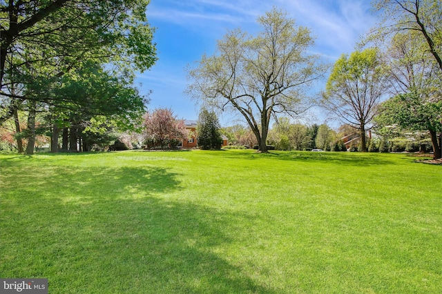 view of yard