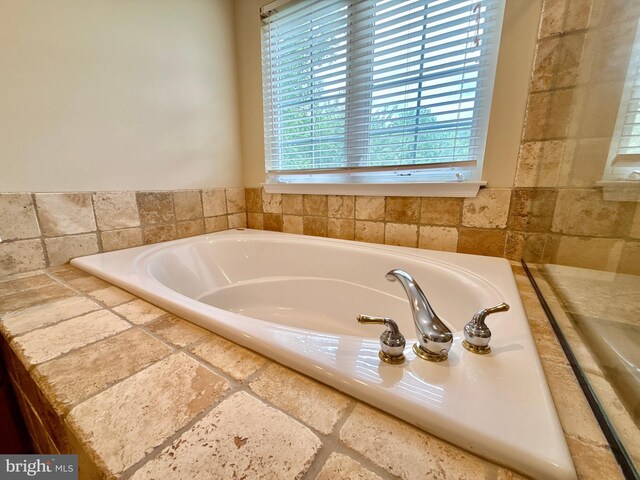 14100 Twisting Ln, Dayton, MD 21036 - full bath with a garden tub