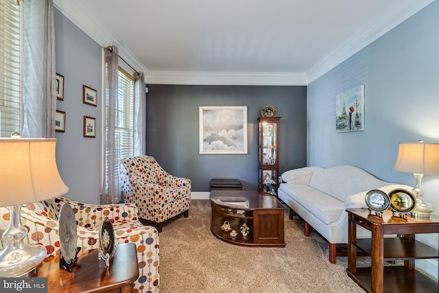 carpeted living room with crown molding