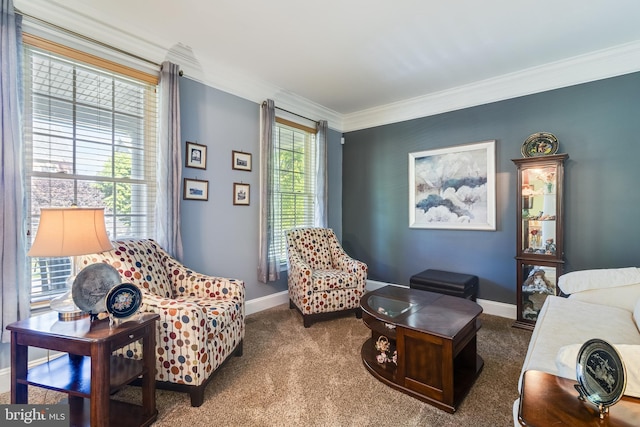 living room with baseboards, ornamental molding, and carpet flooring