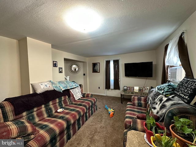 living area featuring a textured ceiling and carpet
