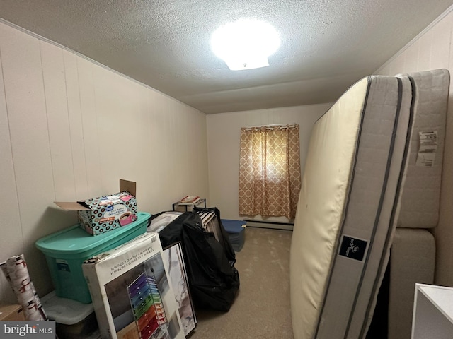 miscellaneous room with a textured ceiling, carpet flooring, and baseboard heating