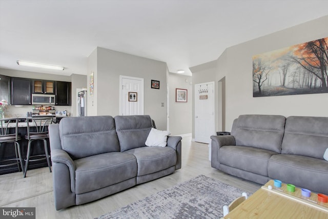 1425 Wanda Dr, Hanover, PA 17331 - living area with light wood-style flooring
