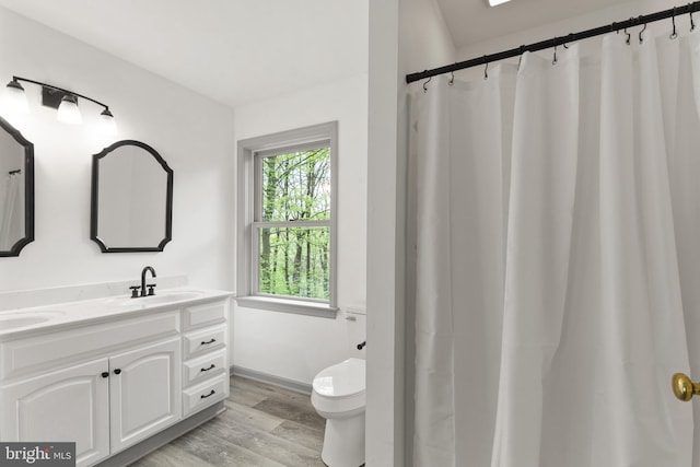 bathroom featuring a sink, double vanity, toilet, baseboards, and wood finished floors