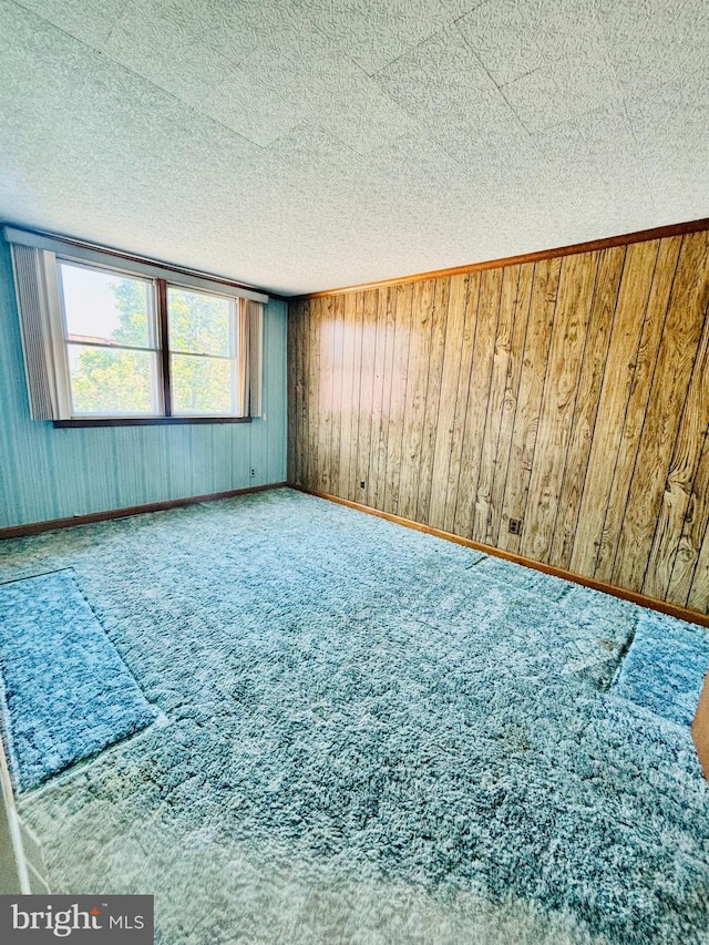 2633 Levick St, Philadelphia, PA 19149 - empty room with wooden walls, carpet, a textured ceiling, and baseboards