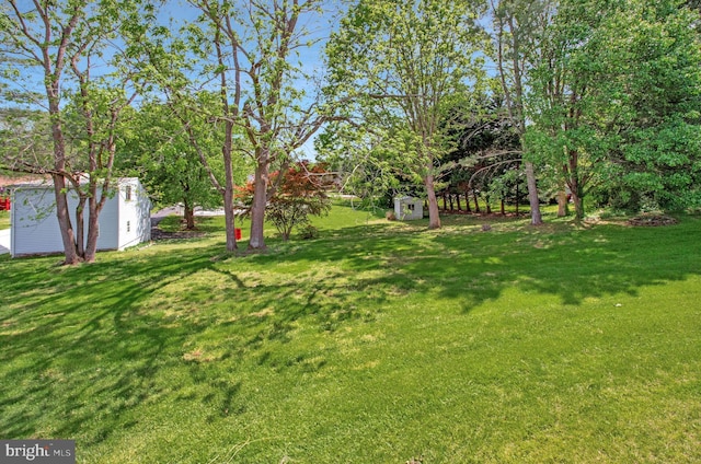 view of yard featuring an outbuilding and a storage unit