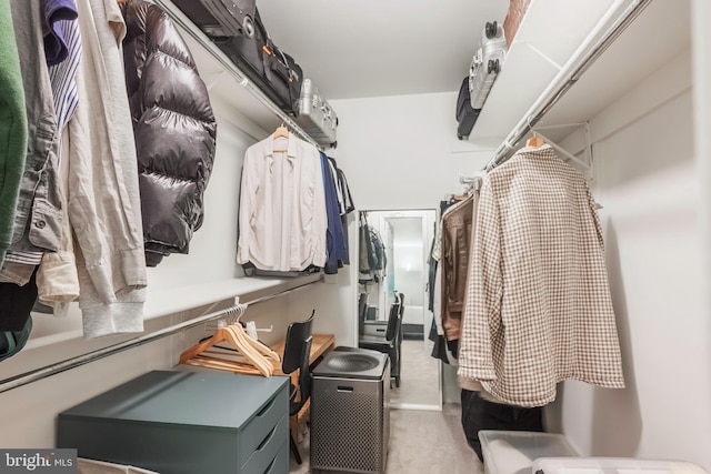 1541 Church Hill Pl Unit 1541, Reston, VA 20194 - spacious closet featuring carpet