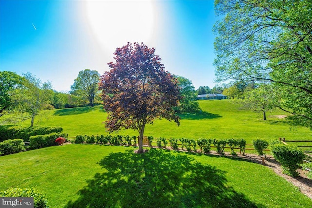 view of property's community featuring a yard