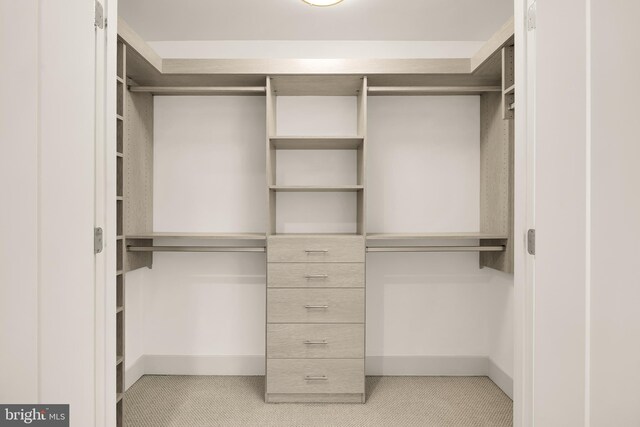 view of spacious closet