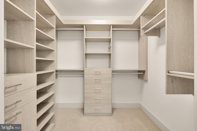 spacious closet with carpet floors