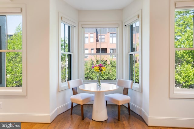dining area with baseboards, wood finished floors, and a healthy amount of sunlight