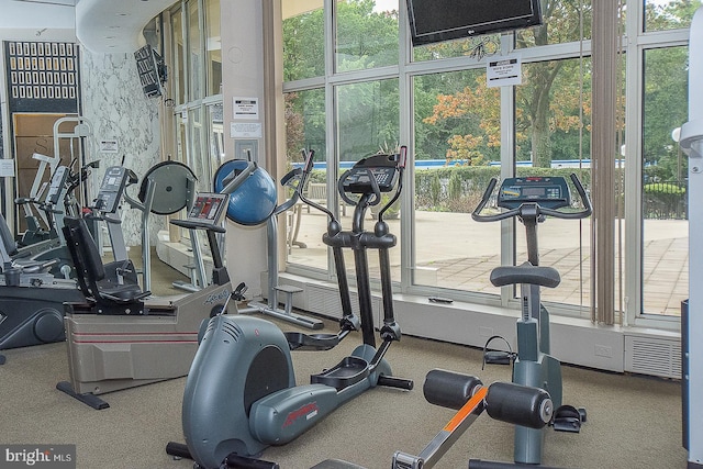exercise room with a healthy amount of sunlight