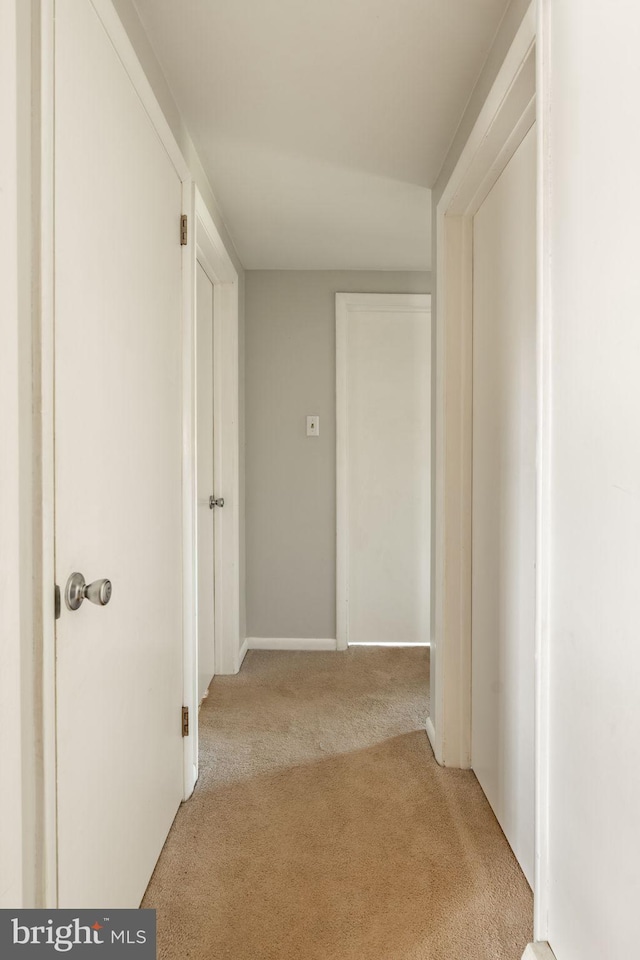 hallway with light carpet