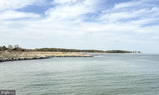 property view of water
