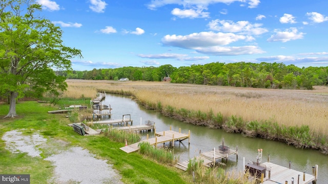 dock area featuring a view of trees and a water view