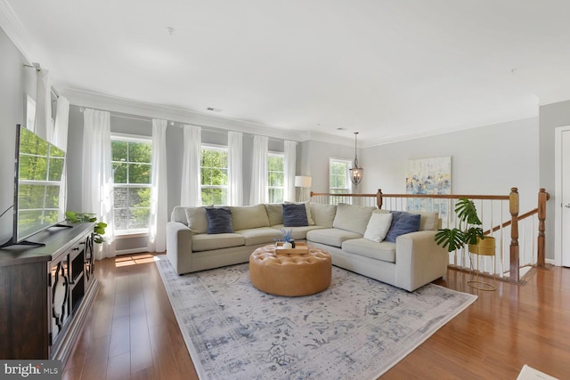 living room with ornamental molding and wood finished floors