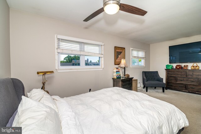 228 Purdue Ave, Pemberton, NJ 08068 - bedroom featuring carpet floors and a ceiling fan