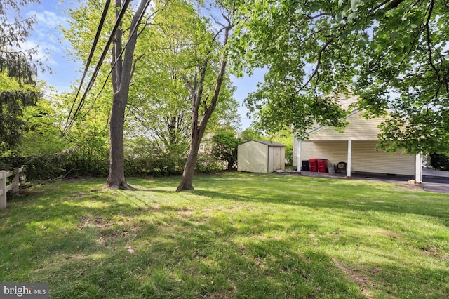 view of yard with an outbuilding and a storage unit