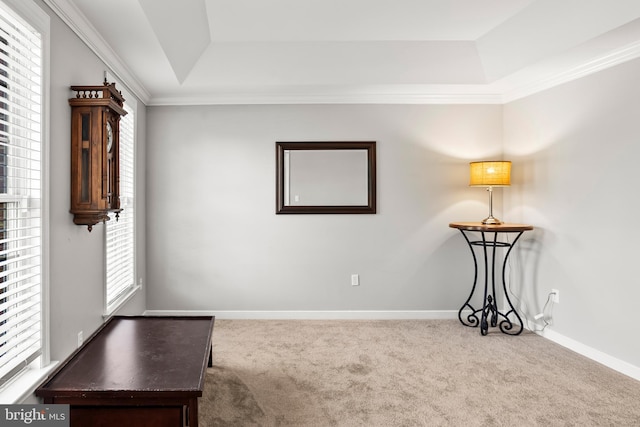interior space with carpet, crown molding, a tray ceiling, and baseboards