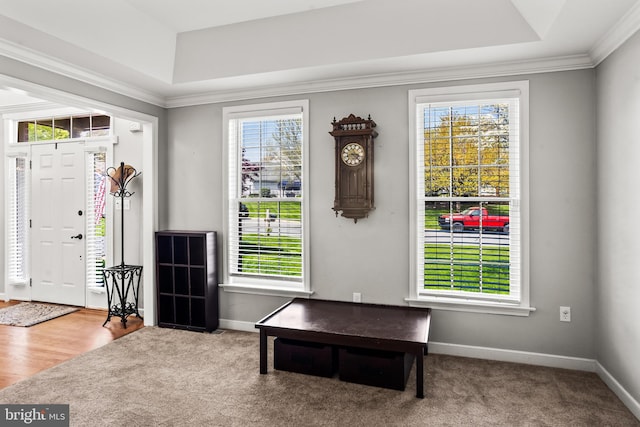 entryway with crown molding, baseboards, and a tray ceiling