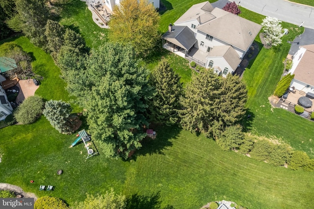 bird's eye view