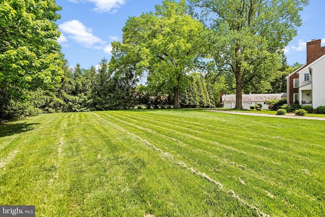 view of green lawn