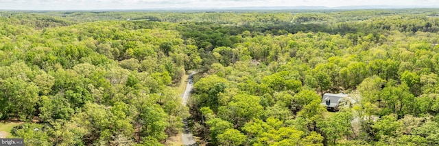 275 Wood Rise Ln, Winchester, VA 22602 - birds eye view of property featuring a wooded view