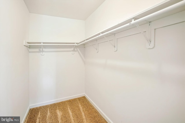 21130 Haystack Ct, Ashburn, VA 20147 - walk in closet featuring carpet