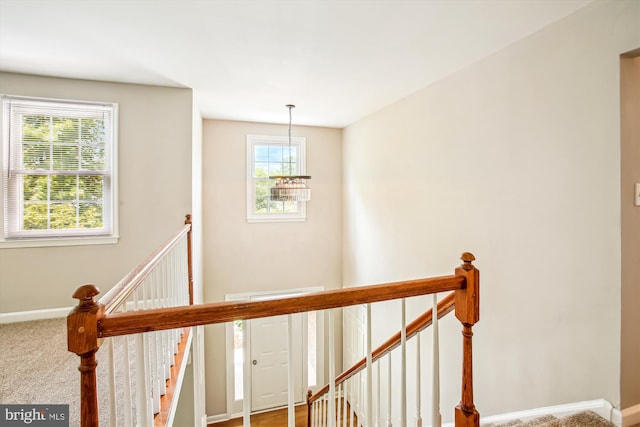 21130 Haystack Ct, Ashburn, VA 20147 - staircase featuring healthy amount of natural light, baseboards, a chandelier, and carpet flooring