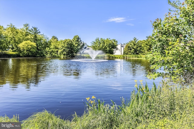 21130 Haystack Ct, Ashburn, VA 20147 - water view