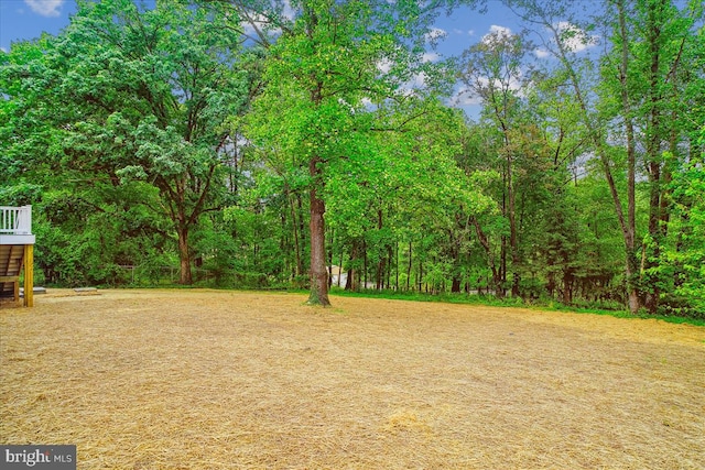 9842 Fire Tower Rd, Ijamsville, MD 21754 - view of yard