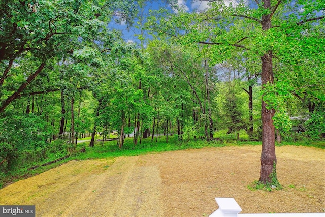 9842 Fire Tower Rd, Ijamsville, MD 21754 - view of yard