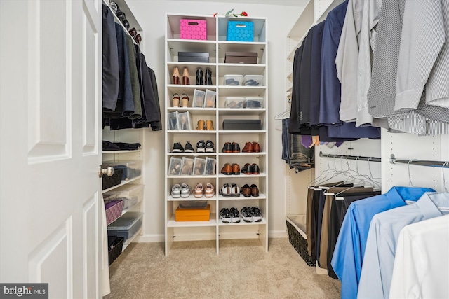 502 Leaning Oak St, Gaithersburg, MD 20878 - walk in closet featuring carpet floors