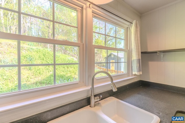 551 Bremo Rd, Bremo Bluff, VA 23022 - room details with a sink, ornamental molding, and white cabinetry