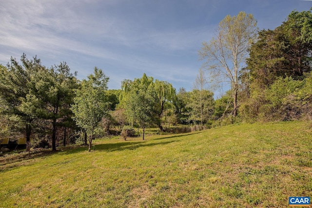 551 Bremo Rd, Bremo Bluff, VA 23022 - view of yard